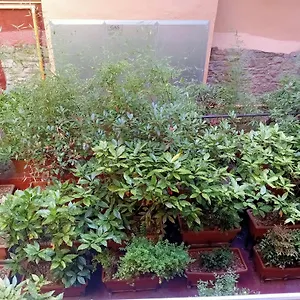  Apartamento Piso Acogedor